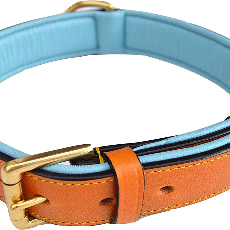 Padded Leather Dog Collar, Tan and Teal, Size Medium, 20