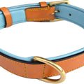 Padded Leather Dog Collar, Tan and Teal, Size Medium, 20