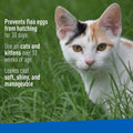Adams Flea & Tick Cleansing Shampoo for Cats, Flea and Tick Treatment for Cats and Kittens, Unscented, 12 Ounces