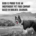 BIXBI Rawbble Freeze Dried Dog Food, Pork Recipe, 12 Oz - 97% Meat and Organs, No Fillers - Pantry-Friendly Raw Dog Food for Meal, Treat or Food Topper - USA Made in Small Batches