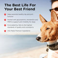 Nutri-Vet Advanced Strength Hip & Joint Chewable Dog Supplements - Formulated with Glucosamine & Chondroitin to Support Dog Cartilage & Mobility - 300 Tablets