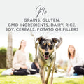 K9 Natural - Grain Free Freeze Dried Dog Food Topper - Lamb & Salmon, 3.5Oz