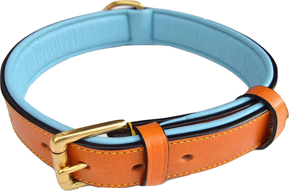 Padded Leather Dog Collar, Tan and Teal, Size Medium, 20