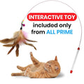 Cat Tunnel with Interactive Toy - Collapsible 3-Way Pet Tunnel for Indoor Cats - Ideal Playtime Accessory for Cats and Rabbits (Blue)