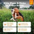 Zesty Paws Flea & Tick Shampoo for Dogs, to Repel Flea & Ticks, Peppermint Oil Scented, 16Oz Bottle