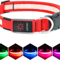Vizpet LED Dog Collar, Light up Dog Collar Adjustable USB Rechargeable Super Bright Safety Light Glowing Collars for Dogs(Small,Red)