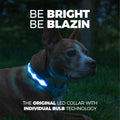 Light up Dog Collar - the Original LED Dog Collar - USB Rechargeable - Waterproof - 1,000 Feet of Visibility - Dog Collar Light for Small, Medium, Large Dogs - US Brand