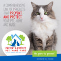 Adams Flea & Tick Cleansing Shampoo for Cats, Flea and Tick Treatment for Cats and Kittens, Unscented, 12 Ounces