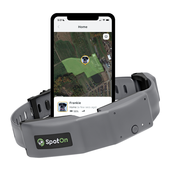 GPS Dog Fence