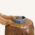 GPS Dog Fence