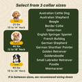 GPS Dog Fence