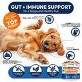 Probiotics for Dogs 170 Chews Dog Digestive Enzymes Prebiotics Support Gut