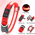 Vizpet LED Dog Collar, Light up Dog Collar Adjustable USB Rechargeable Super Bright Safety Light Glowing Collars for Dogs(Small,Red)