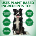Vet'S Best Best Healthy Coat Shed and Itch Relief Supplements for Dogs - 50 Chewable Tablets - 4.5 Oz.