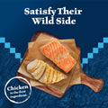 Blue Buffalo Wilderness Chicken & Salmon Flavor Dry Soft Treats for Cats, Grain-Free, 2 Oz. Bag