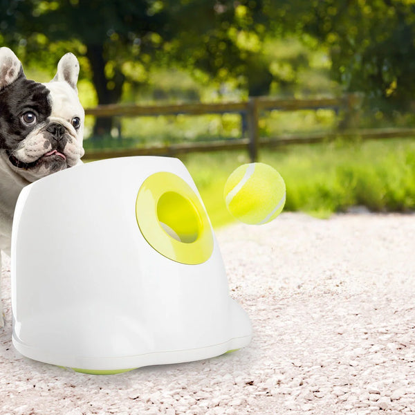 CLEVER PET™ Automatic Ball Launcher