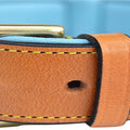 Padded Leather Dog Collar, Tan and Teal, Size Medium, 20