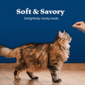 Blue Buffalo Wilderness Chicken & Salmon Flavor Dry Soft Treats for Cats, Grain-Free, 2 Oz. Bag