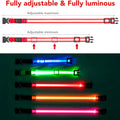 Vizpet LED Dog Collar, Light up Dog Collar Adjustable USB Rechargeable Super Bright Safety Light Glowing Collars for Dogs(Small,Red)