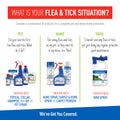 Adams Flea & Tick Cleansing Shampoo for Cats, Flea and Tick Treatment for Cats and Kittens, Unscented, 12 Ounces